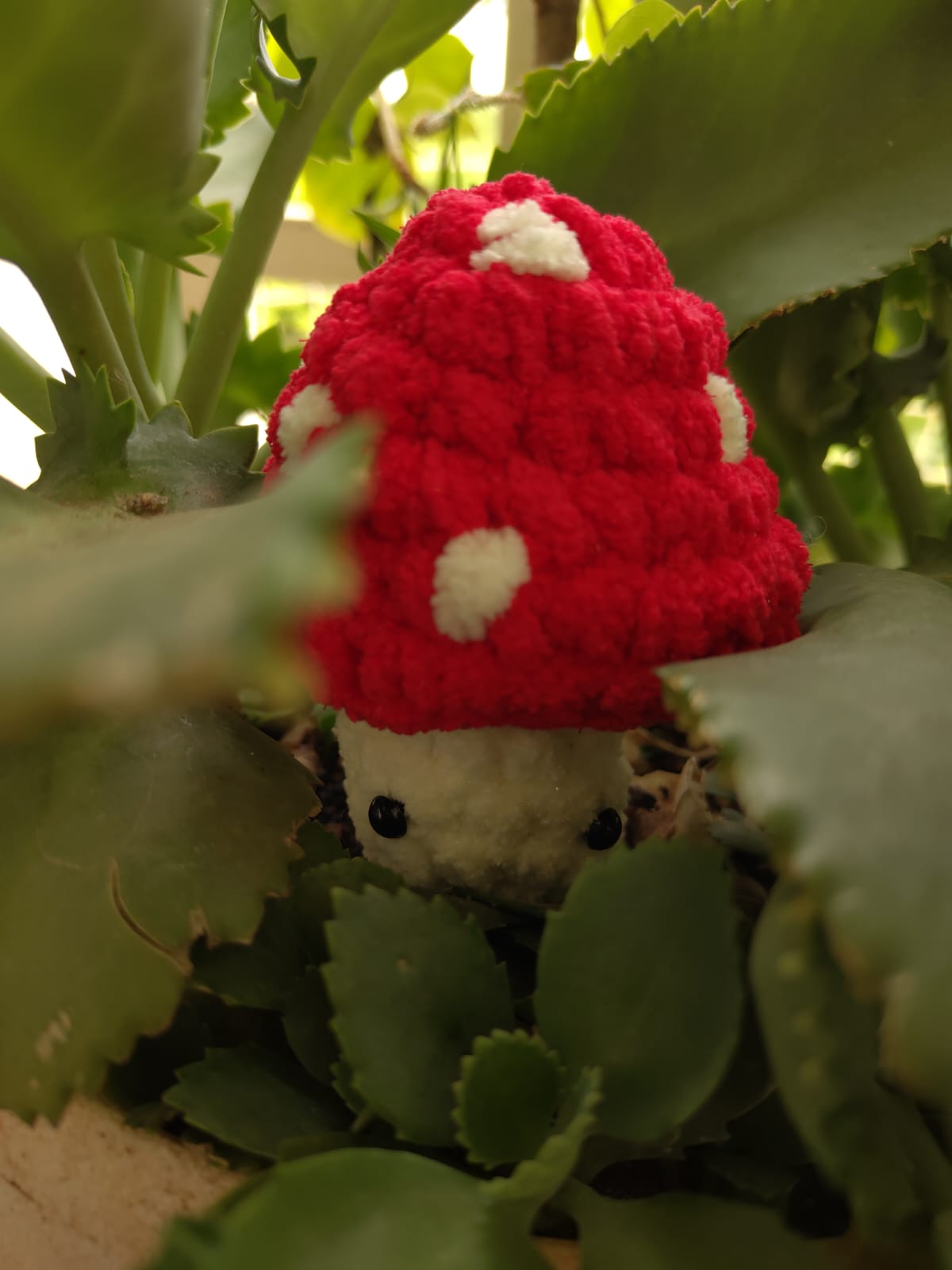 Amanita Plushie - Manju's Studio