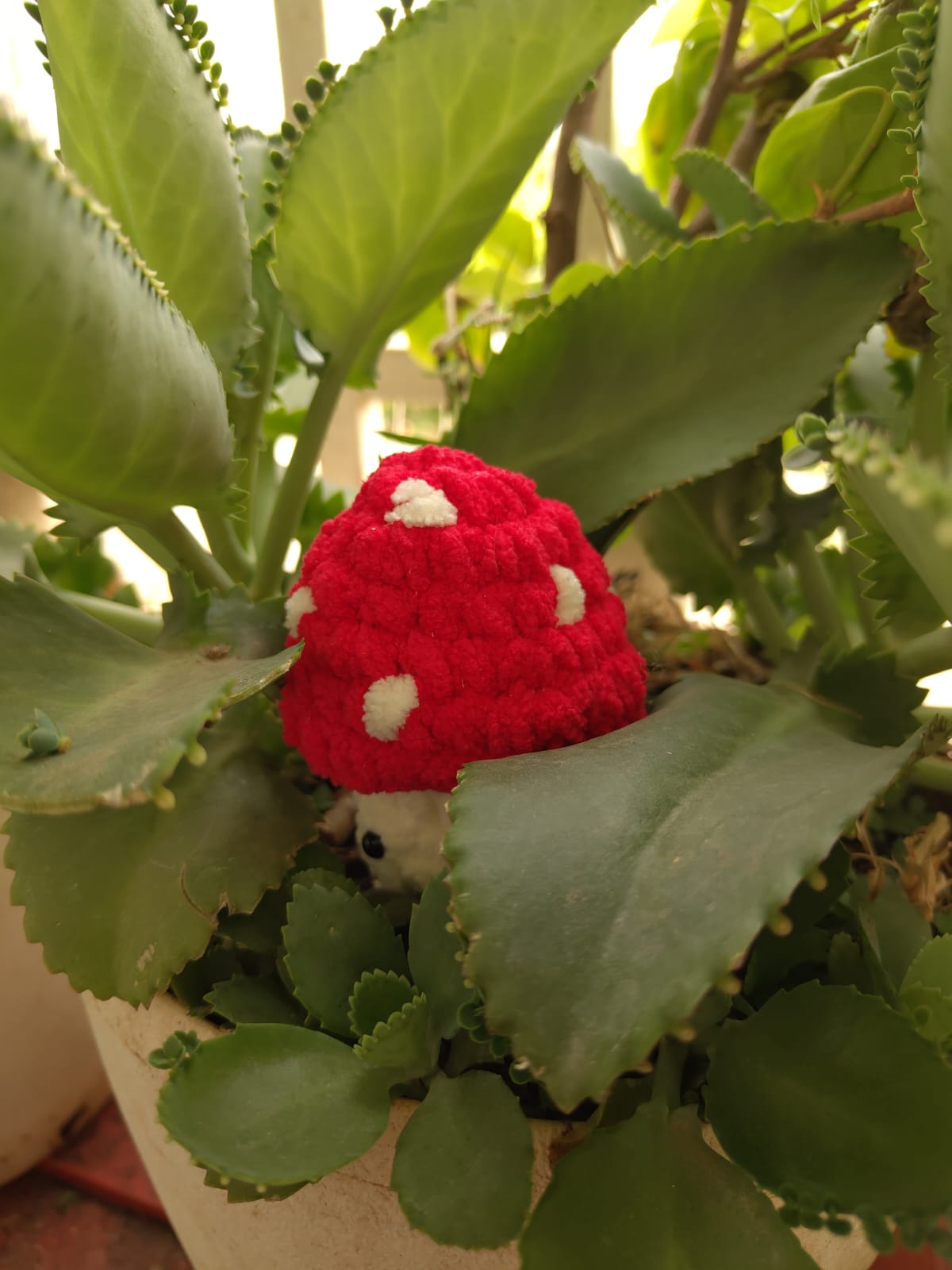 Amanita Plushie - Manju's Studio