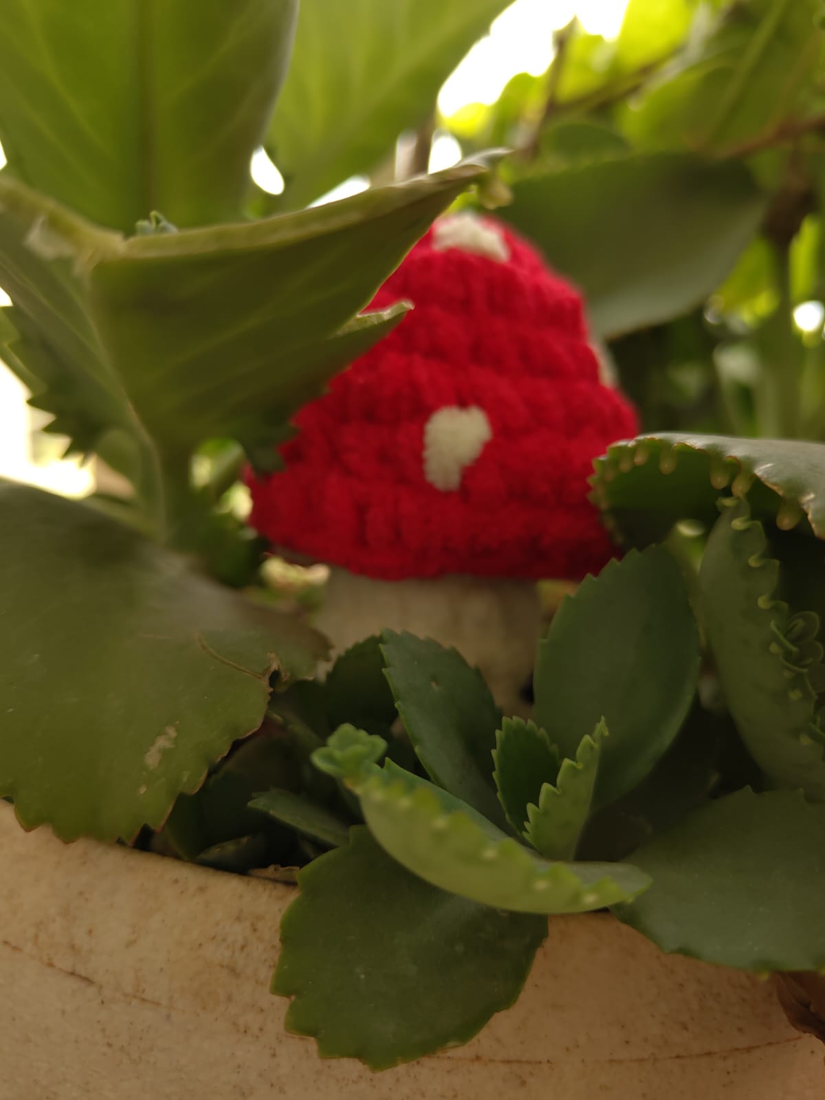 Amanita Plushie - Manju's Studio