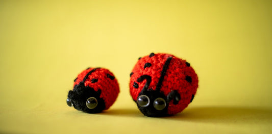 Ladybugsies (Pair) - Manju's Studio