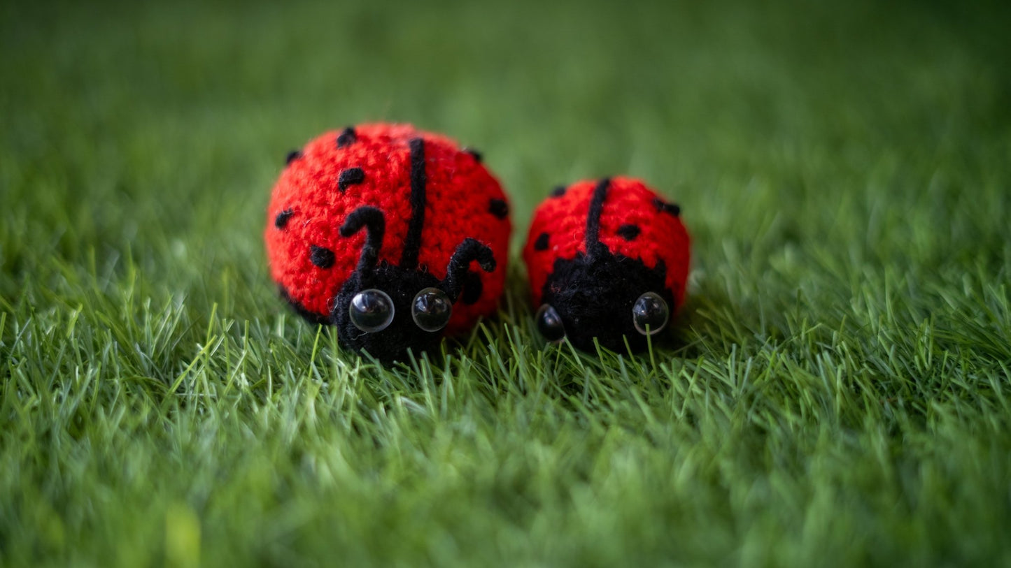 Ladybugsies (Pair) - Manju's Studio