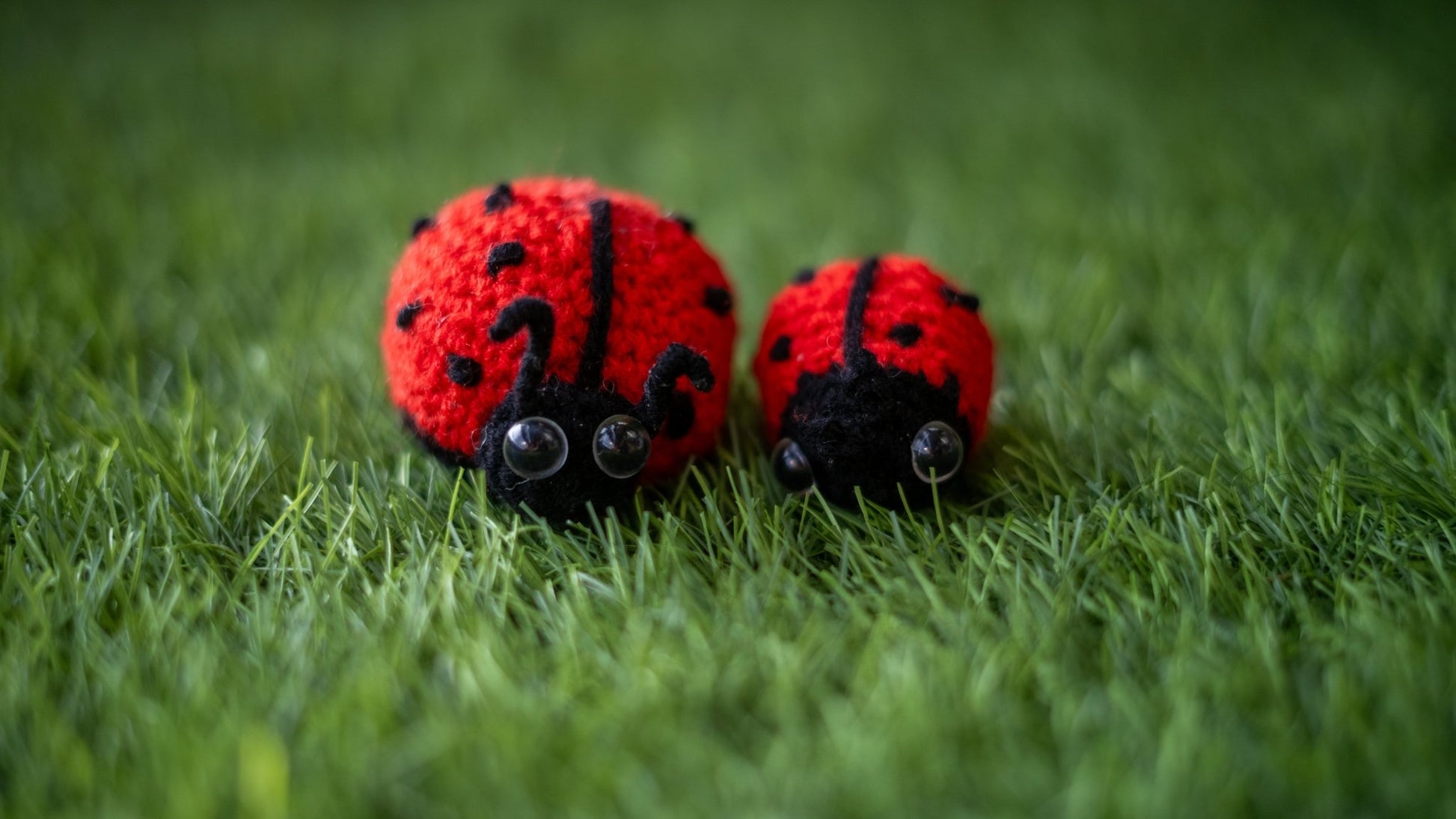 Ladybugsies (Pair) - Manju's Studio