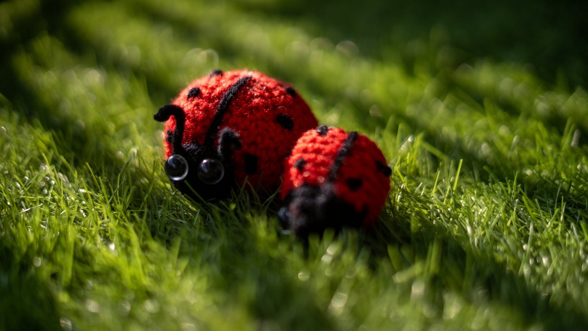 Ladybugsies (Pair) - Manju's Studio